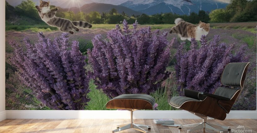 Playful cats Wall Murals