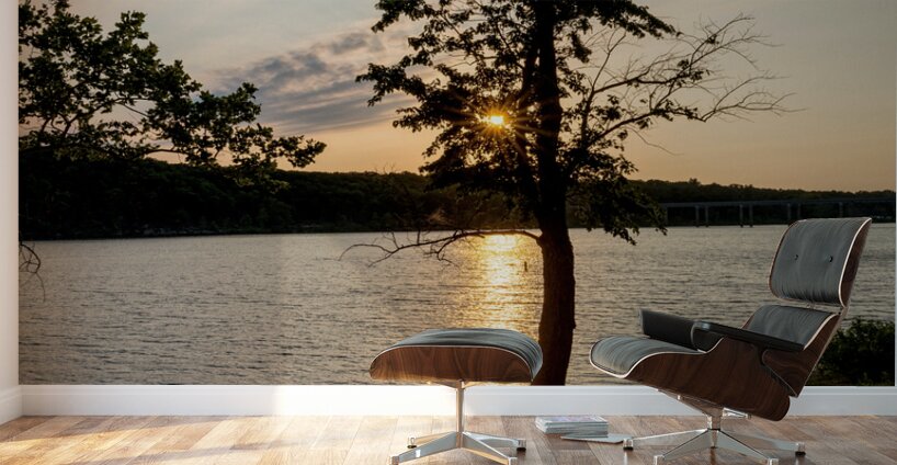 Curvy Tree Golden Sunset Wall Murals