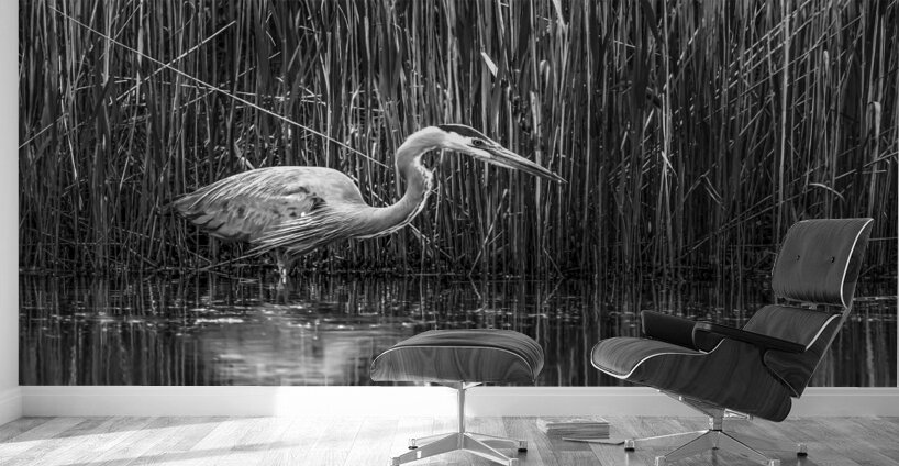 10673 Great Blue Heron Ardea herodias Wall Murals