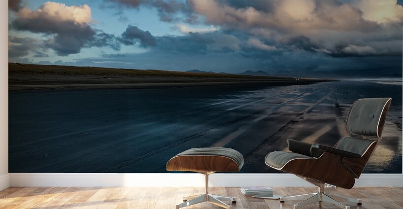 IMG 20230401 192519668 HDR Wall Murals