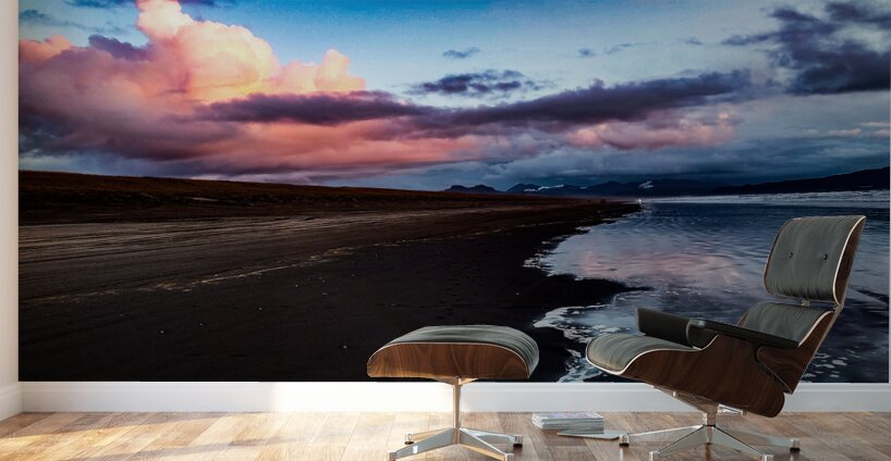 IMG 20230313 191233076 HDR Wall Murals