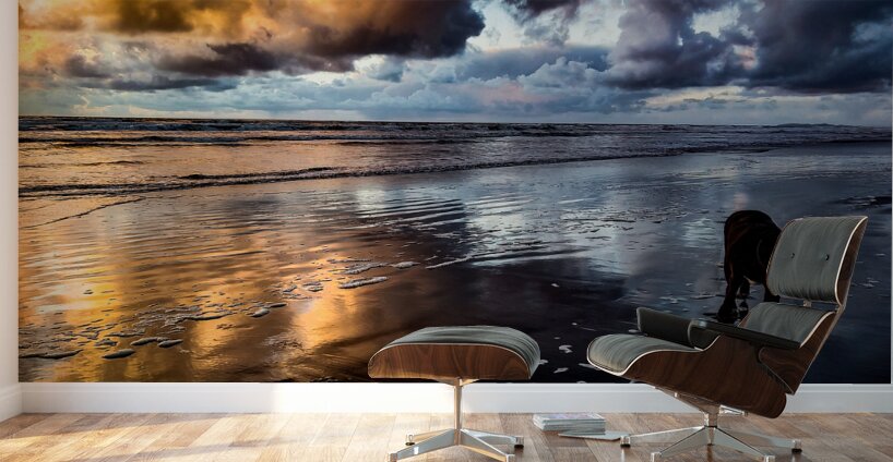 IMG 20230313 190940990 HDR Wall Murals