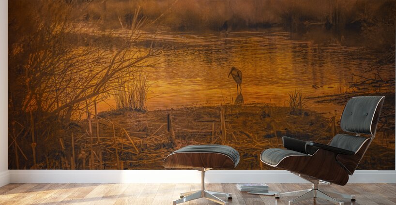 South Carolina Marsh Winter Sunrise Glow Wall Murals