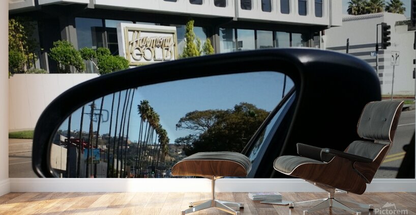 LA in Traffic Wall Murals