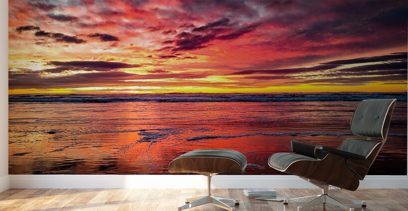 IMG 20230110 170644109 MP Wall Murals