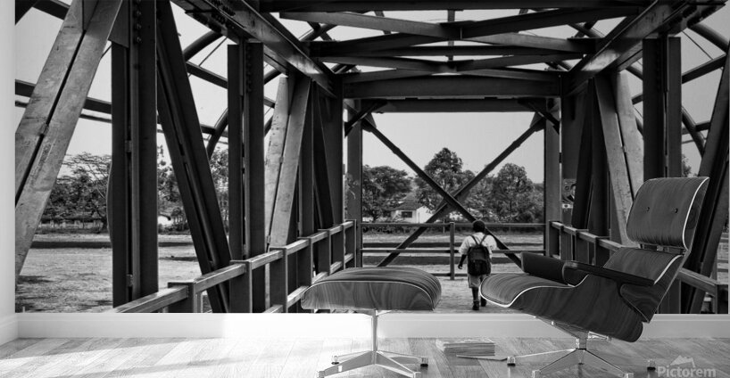 Crossing the Bridge Wall Murals