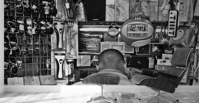 Local and Global Wall Murals