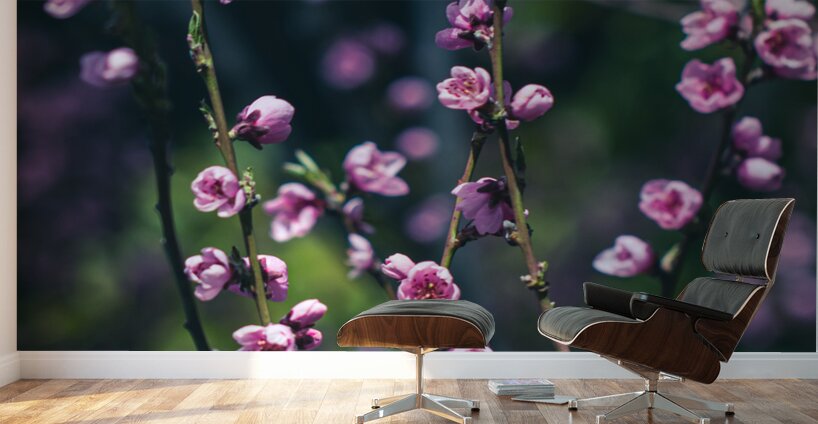 Serenity in Bloom: Meditations Among Peach Blossoms Wall Murals