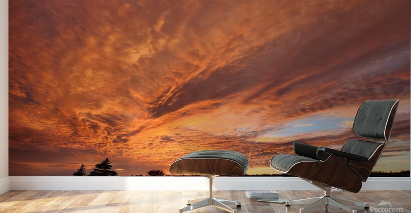 Sienna Sunset Wall Murals