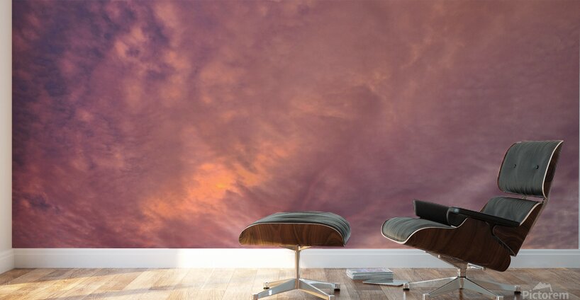 A Sight to Behold Wall Murals