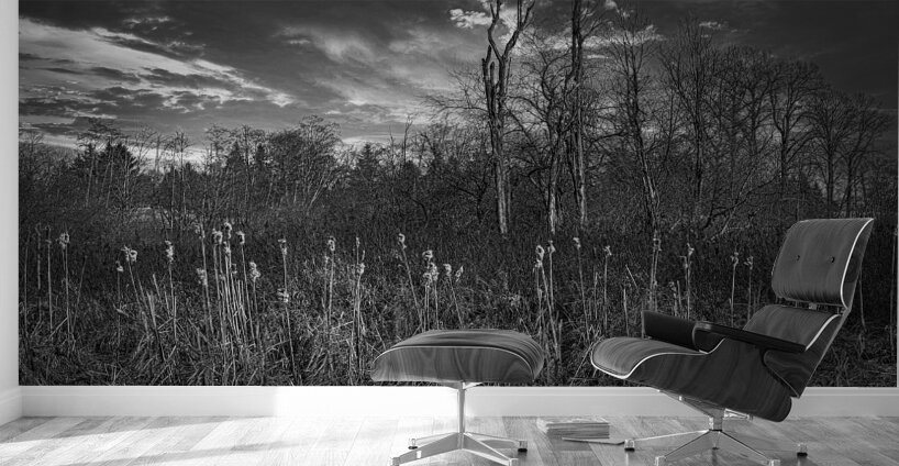 FS240318 Still Creek Wall Murals