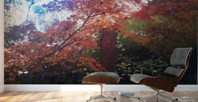 Ethereal Series 4 Wall Murals