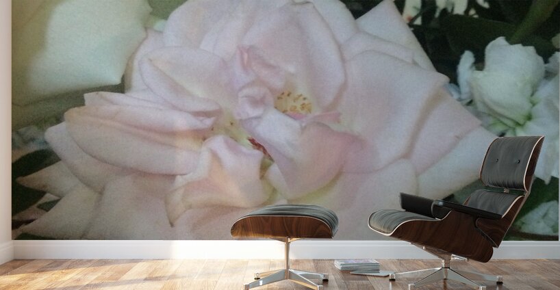 6CAD6156 6F76 4FD5 8652 4FA8ED2420E9 Wall Murals