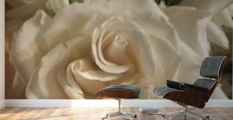 EFA3812E 008C 4A0B AA1B 55AE6E697AAC Wall Murals