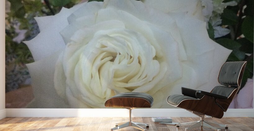 C04F7D9C 114C 413E 96C2 2282B360E461 Wall Murals