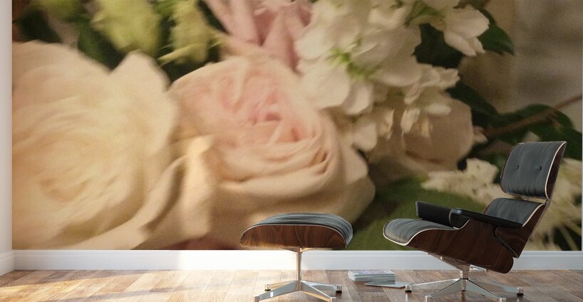 4F23C716 EC4C 4088 BDE3 E392D14304CD Wall Murals