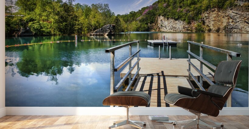 Meads Quarry Lake Knoxville TN Wall Murals