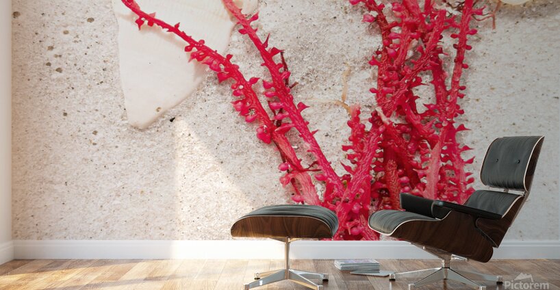 Naples Sand and Surf 30 Wall Murals