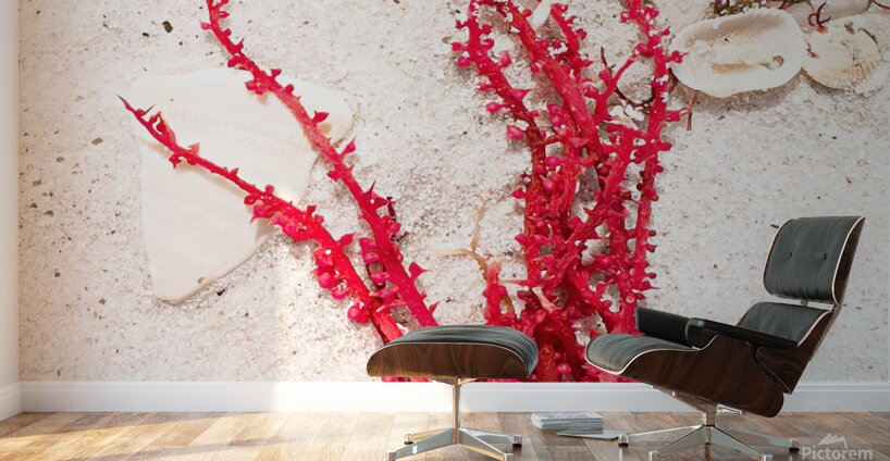 Naples Sand and Surf 33 Wall Murals