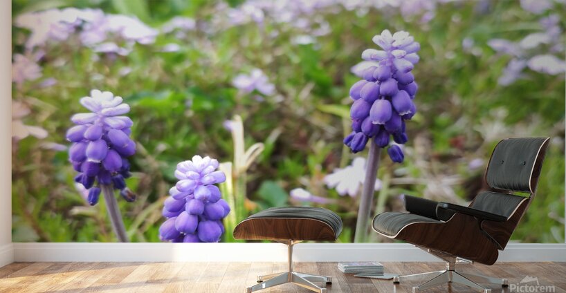 IMG 20240415 092828 Wall Murals