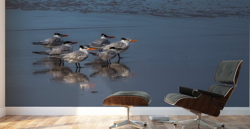 BIR 02193 Wall Murals