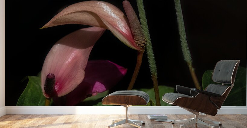 FLO 02286 Wall Murals