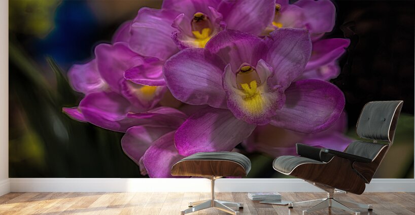 FLO 02267 Wall Murals