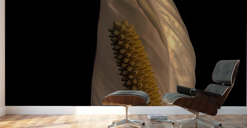 FLO 02218 Wall Murals