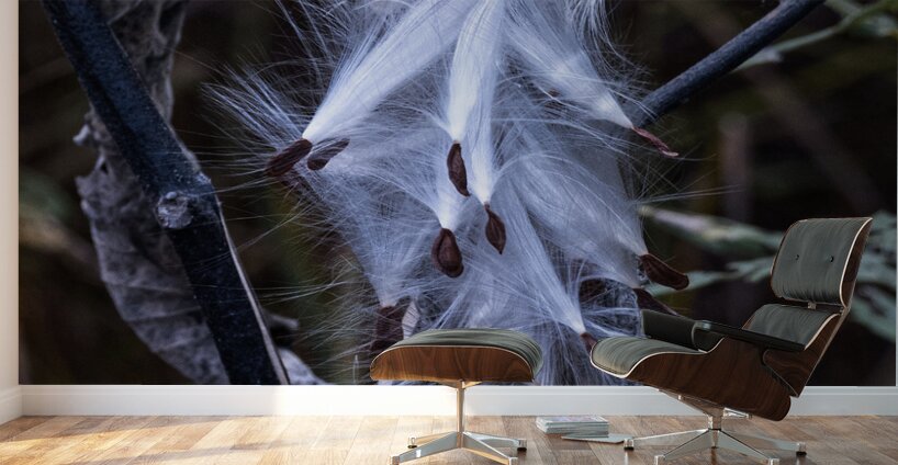 FLO 02312 Wall Murals