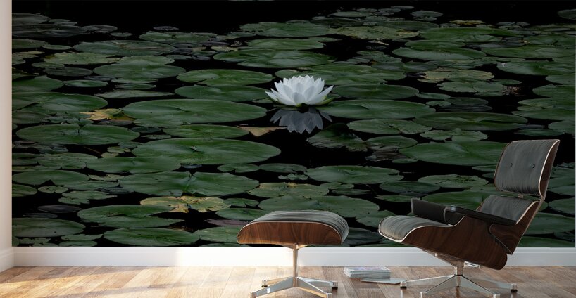 FLO 02302 Wall Murals