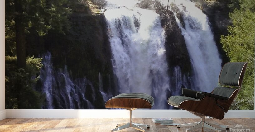 Burney Falls Wall Murals