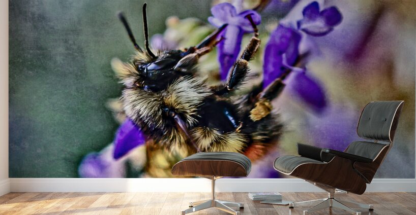 Bee on Coleus Flower Wall Murals