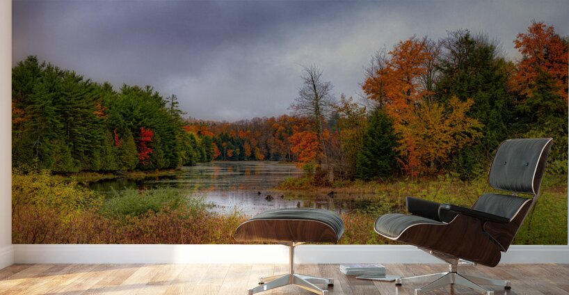 LAN 02321 Wall Murals