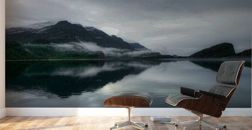 LAN 02378 Wall Murals