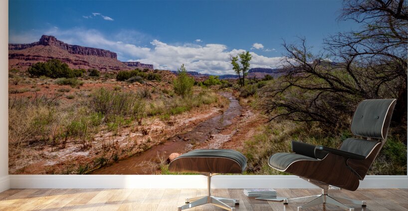 Utah Desert Hiking At Professor Creek Wall Murals