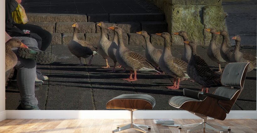 MIS 02144 Wall Murals