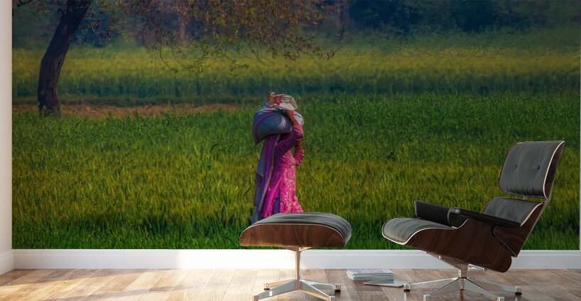 PEO 02368 Wall Murals