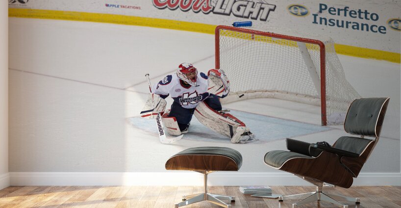 *ACT 02379 Wall Murals