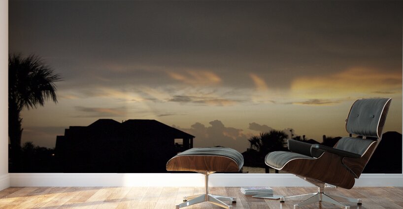 Sky Shadow II Wall Murals