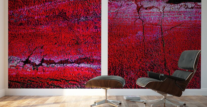 Seeing Red 02 Wall Murals