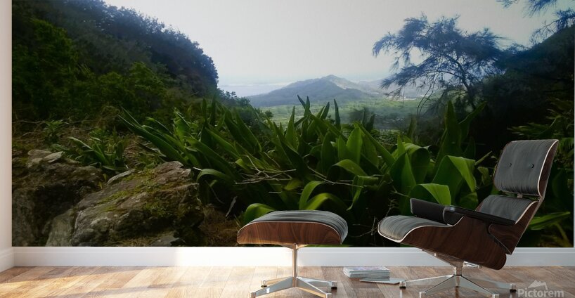 Hawaii 4 Wall Murals