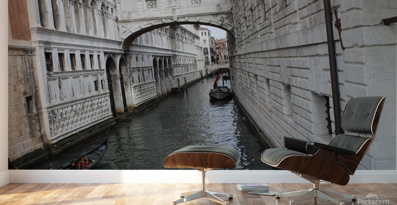 IMG 0950 Wall Murals