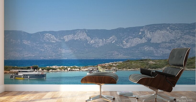 20230809 124624 Wall Murals