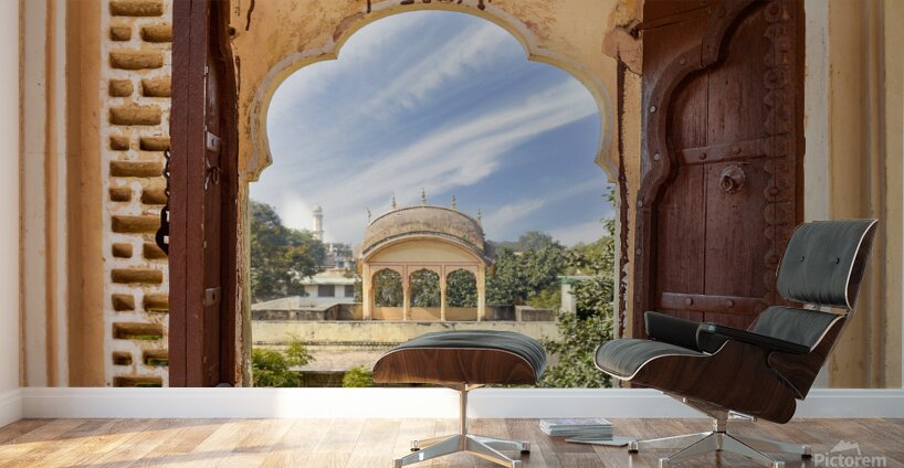 Through the Window Wall Murals