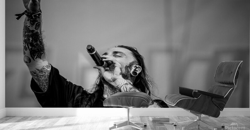 DSC07865 Wall Murals