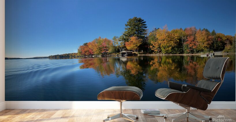 Fall in Maine Wall Murals