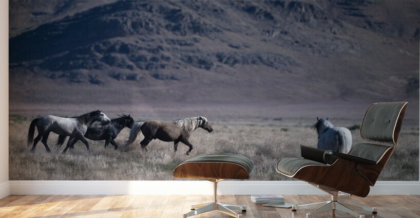 BZ9 5406 Enhanced NR Wall Murals