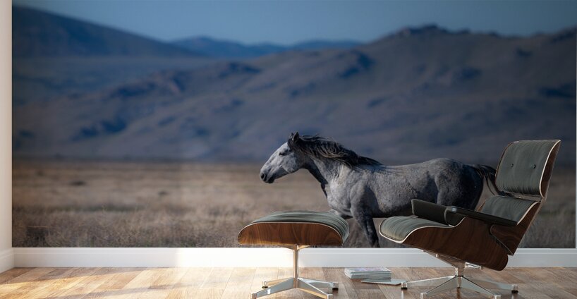 BZ9 4323 Enhanced NR Wall Murals