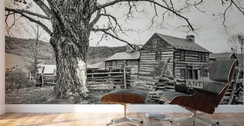 Homestead Sam Stead Antique Store  Wall Murals