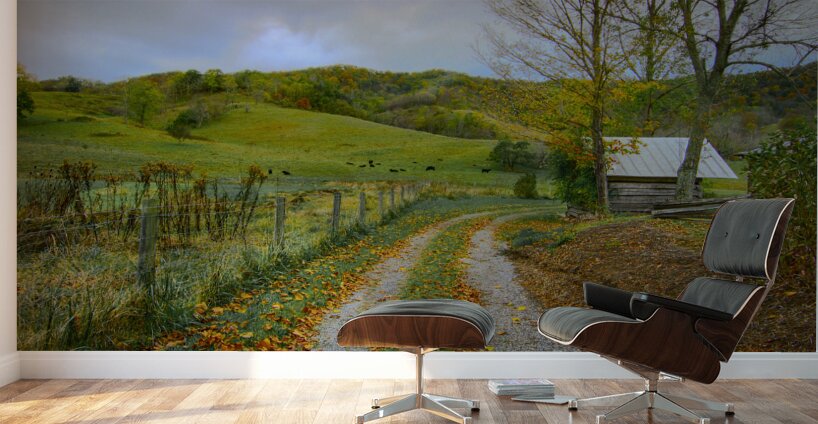 Hot Springs Virginia Farm Cabin Wall Murals